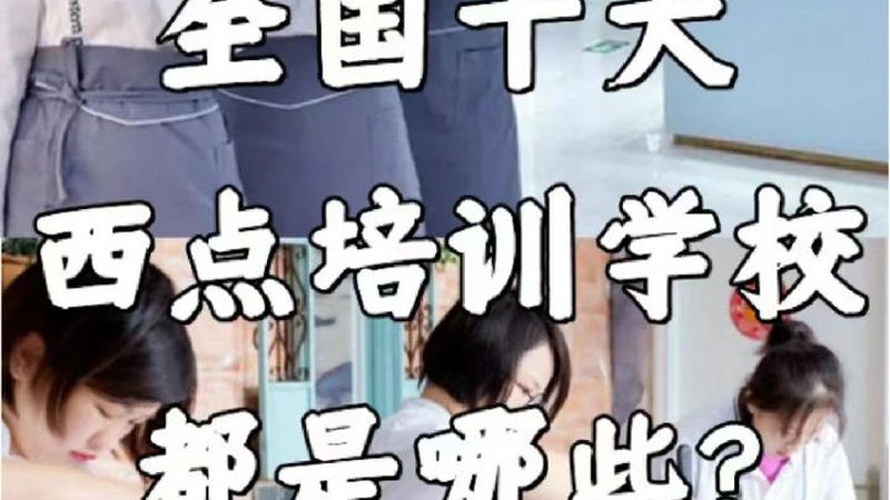 小标题：技能培训市场现状